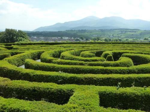 The Mournes view Farmhouse