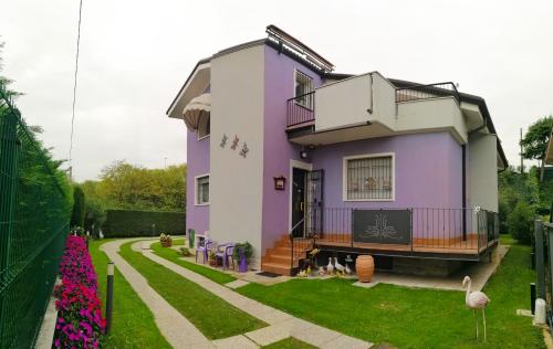 B&B Milu' 3