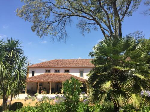 Quinta da Bizelga Cottages - Abrantes