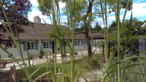 Douvilla - Accommodation - Douville