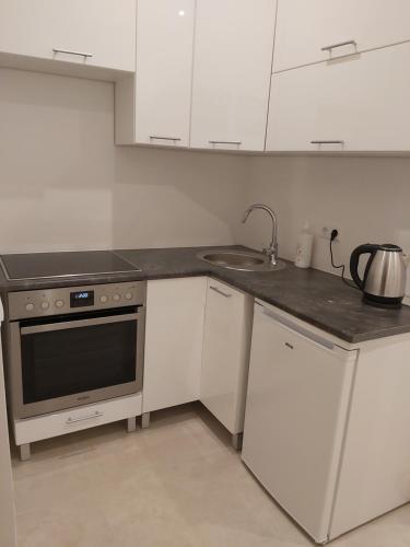 Angelika Apartments, Vídeň (fotografie 3)