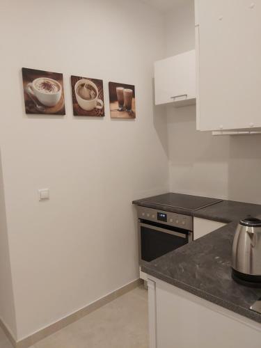 Angelika Apartments, Vídeň (fotografie 4)