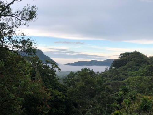 

La Chachalaca