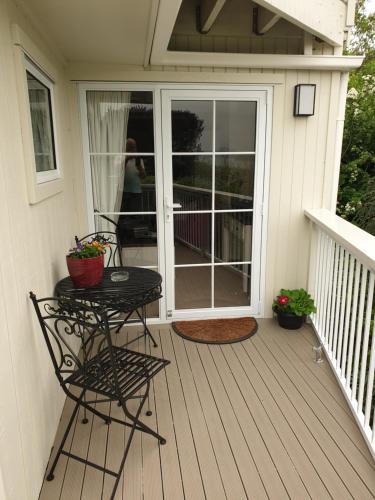 Tui2 Macandrew Bay in Macandrew Bay