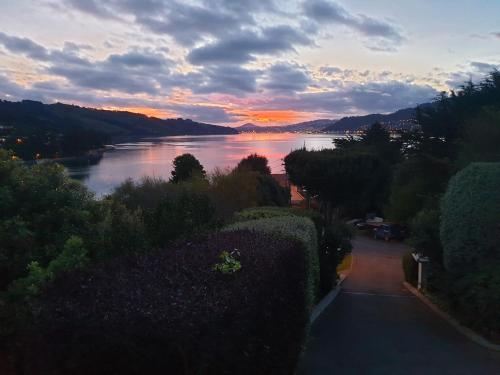 Tui2 Macandrew Bay in Macandrew Bay