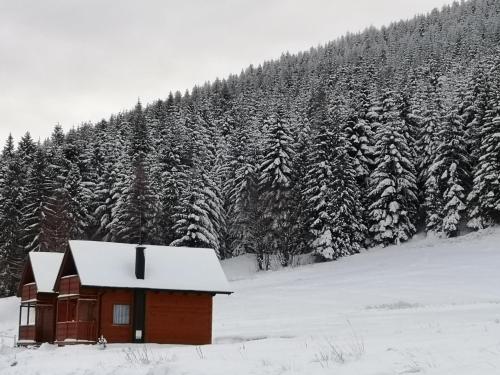 Two-Bedroom Chalet