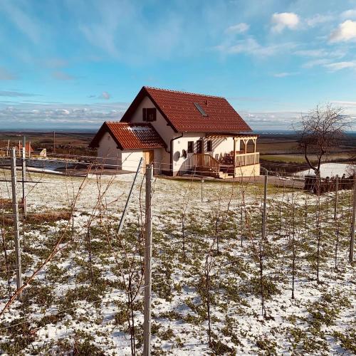 REnthouse - Ferienhaus am Weinberg