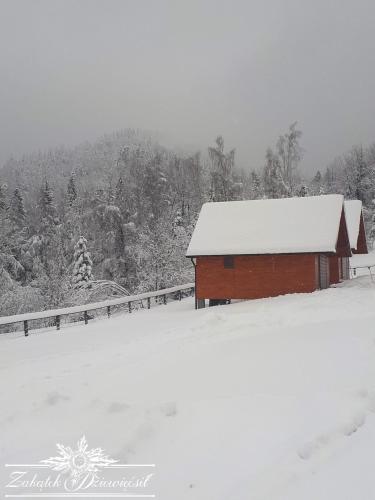 Zakątek DZIEWIĘĆSIŁ - Chalet - Przyborów