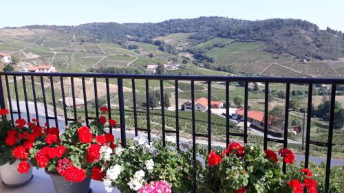 Domaine Du Coteau Des Lys - image 12