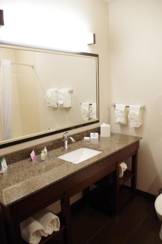 Best Western Plus Lincoln Inn & Suites - image 9