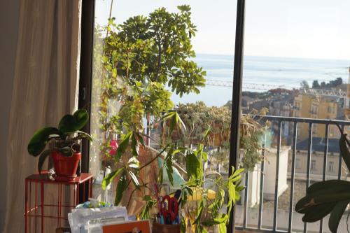 Appartement vue mer - Location saisonnière - Bastia