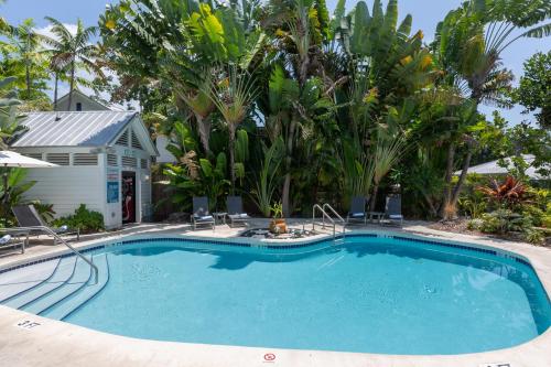 Swimming pool, The Paradise Inn - Adults Only in Key West (FL)
