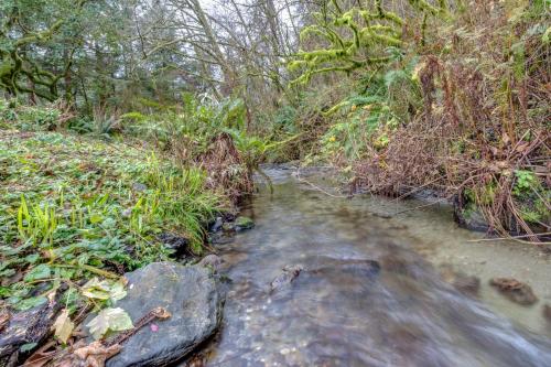 Peaceful Creekside