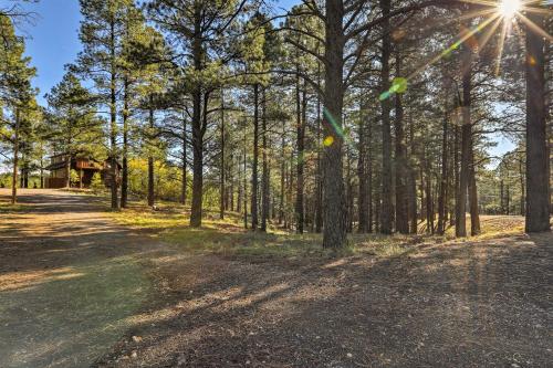 Secluded Flagstaff Apt on 4 Acres with Spacious Deck - image 4