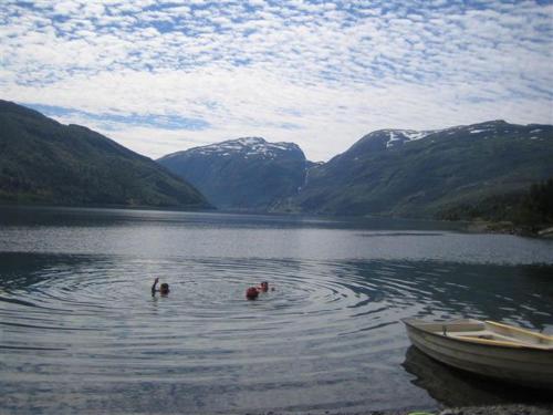 Seim Camping - image 4