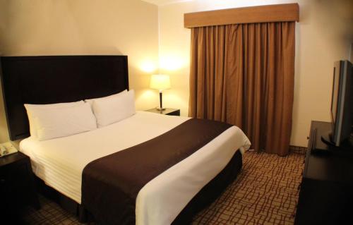 Hotel Mision Grand Torreon Tecnologico