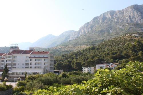 Apartments by the sea Drvenik Donja vala Makarska - 6662 - image 6