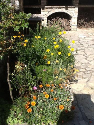  Apartment BAS - terrace & free parking in Maslinica