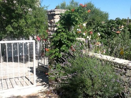  Apartment BAS - terrace & free parking in Maslinica