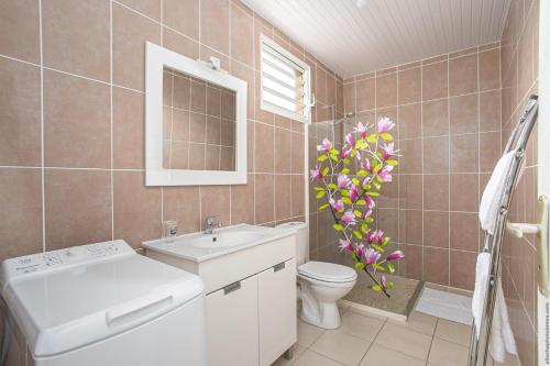 Baño, SCI DRELA in La Trinite