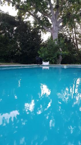 Bloom Guest House – Constantia, TX