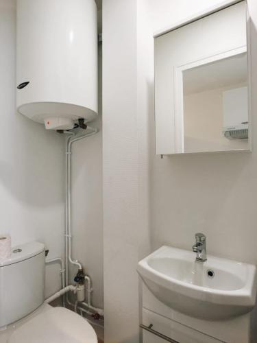 Beautiful bright studio near Montparnasse