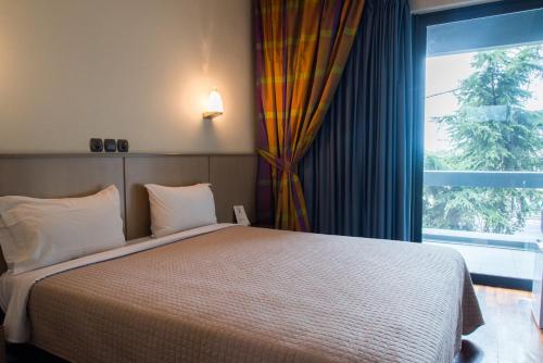 Pines Hotel - image 6
