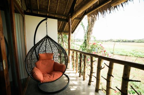 View, Fox & Firefly Cottages in Loboc