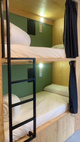The Botanic Hostel - image 7