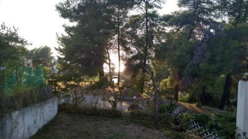 2-bed maisonette in pine forest, 250m from beach between Skala Fourka and Siviri