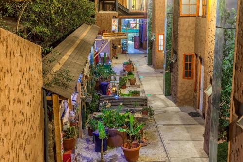 设施服务, Hostal Valle Mistral in 拉塞雷纳