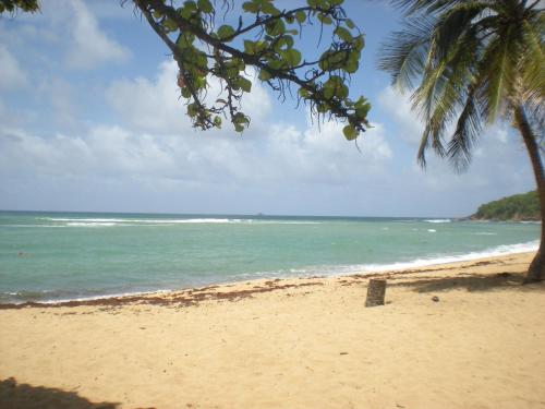 playa, SCI DRELA in La Trinite