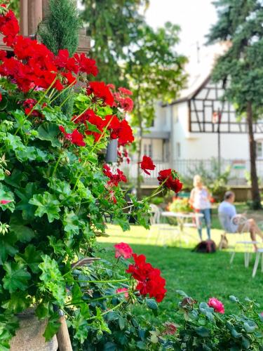 Hôtel Le Manoir - image 11
