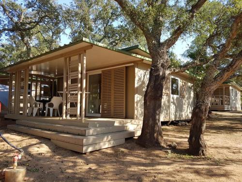 chalet le genevrier - Camping - Porto-Vecchio