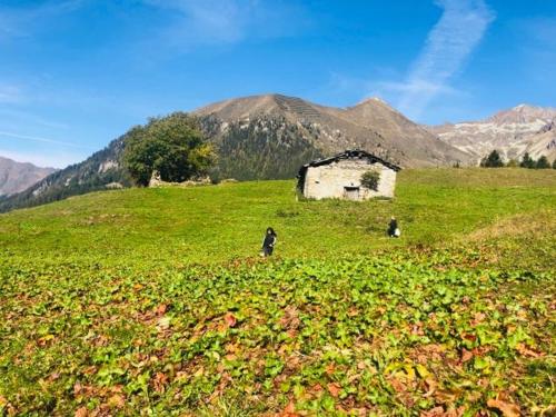 Surrounding environment, casa della neve in Foppolo