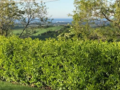  Chalet Delle Rose Saludecio in Saludecio