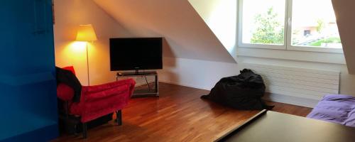 B&B Tomsi - image 6