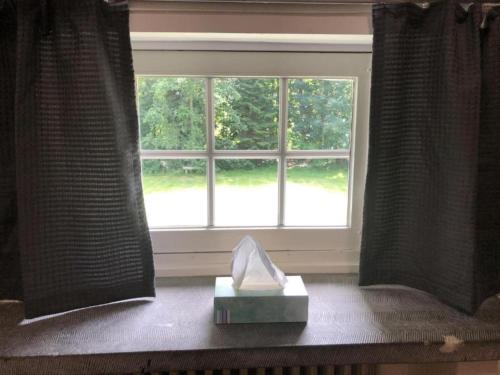 Rose House B&B - image 14
