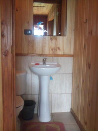 Cabanas Valdivia - Tres Espinos - camino a Niebla