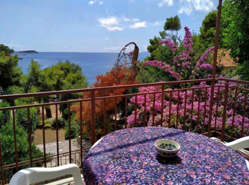  Apartments Sara Maris in Prizba