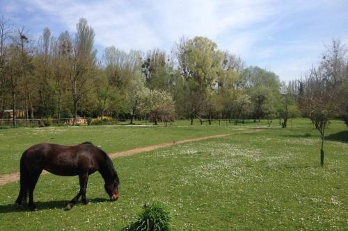 La Pierre Levée - Location saisonnière - Montigny-sur-Loing