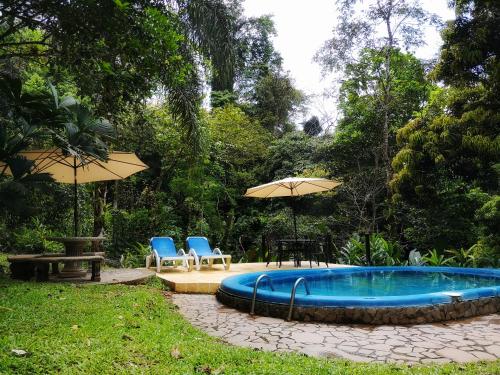 Peldbaseins, Casa Cedro - Portasol Vacation Rentals in Portalona