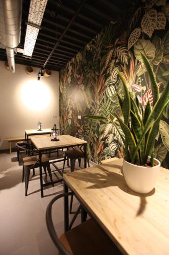 Instalaciones, VTZ The Botanic Hostel in Zaragoza City Center