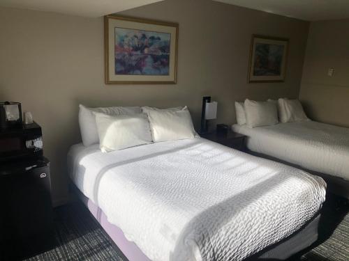 Satellite Hotel in Colorado Springs, USA