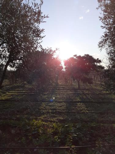  B&B Posta Piana in Canosa di Puglia