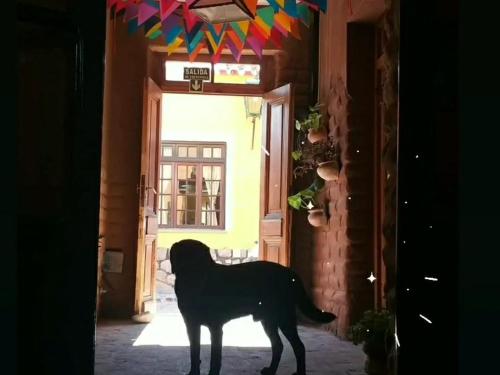 Humahuaca Hostal