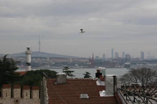 Ligos – Istanbul, FL