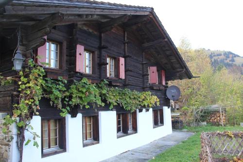 Chalet Bergwelt - Frutigen