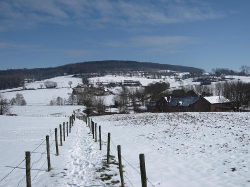 Appartementen Hotel Geuldal - image 11