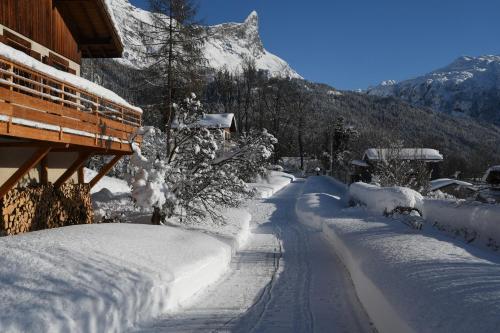 Face Mont-Blanc - Apartment - Passy Plaine Joux